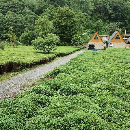 Serindere Bungalow Ardeşen Екстериор снимка