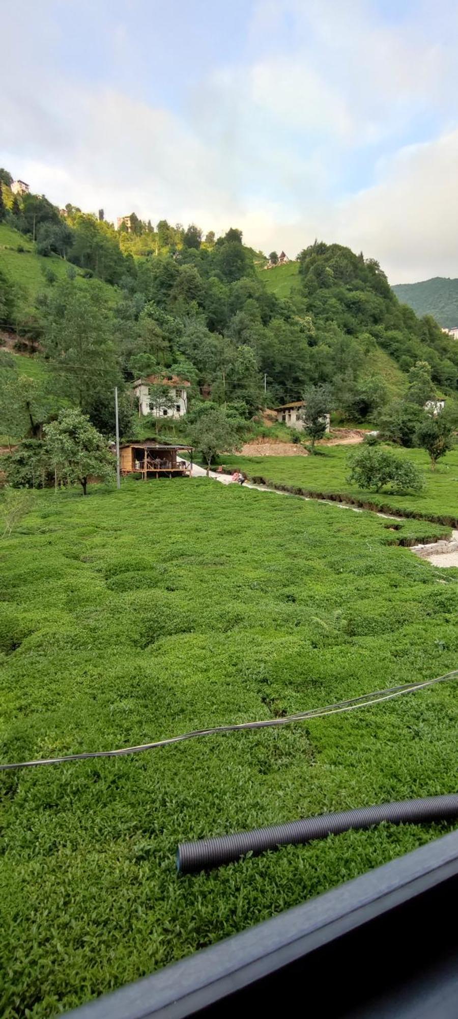 Serindere Bungalow Ardeşen Екстериор снимка